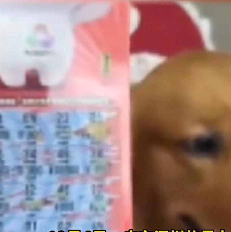 是幸运还是早注定
用狗爪刮彩票，刮出1万元。好像是写小品剧本，想不到还真有其事。