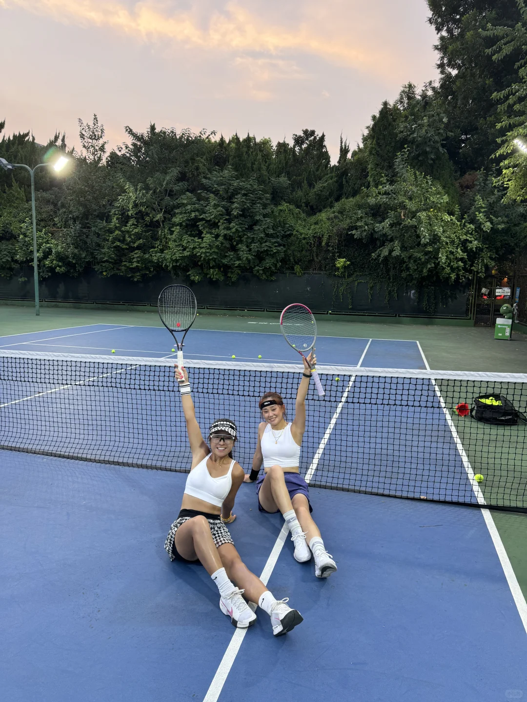 恐龙抗狼🎾🎾🎾