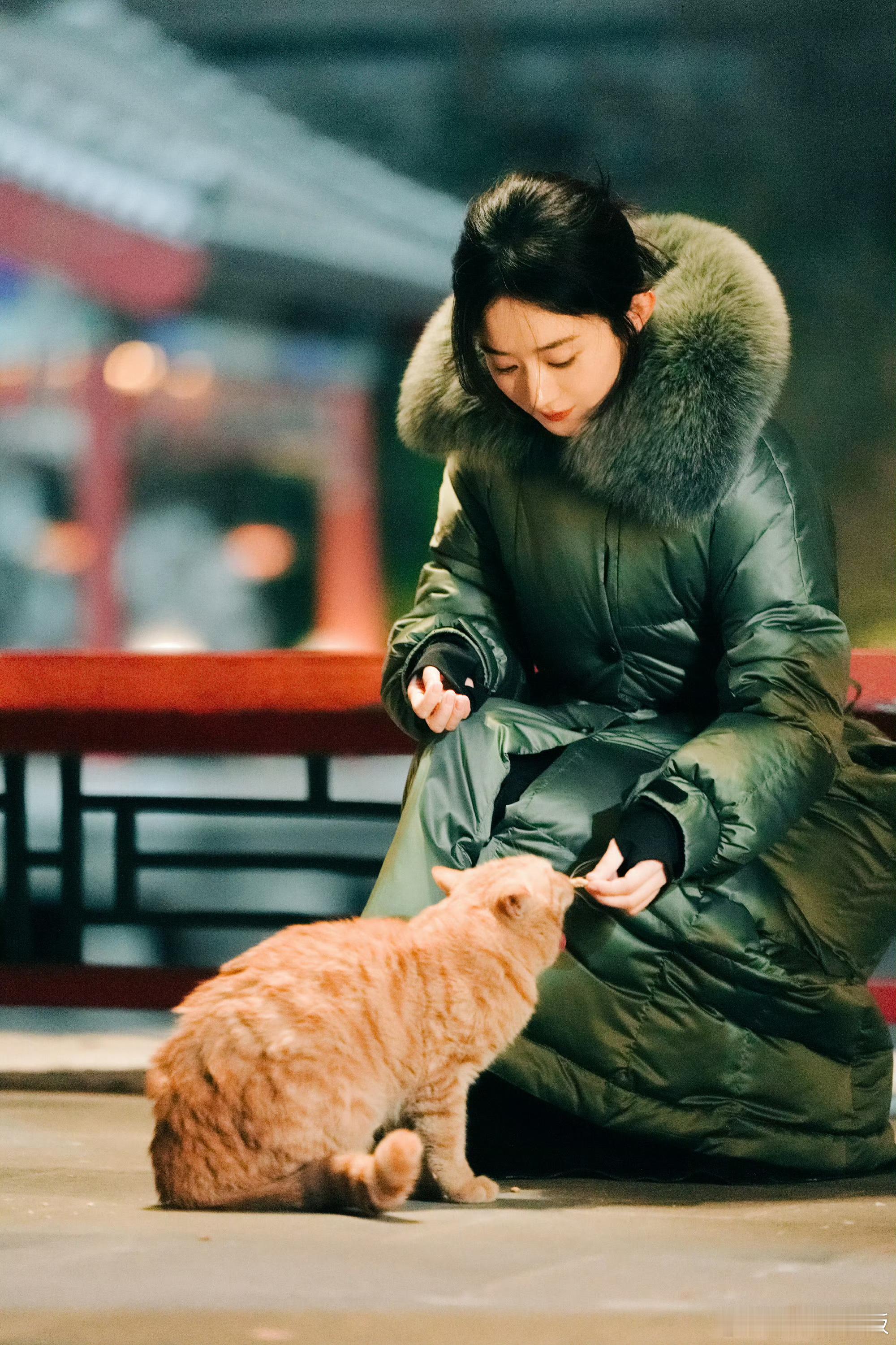 #赵丽颖蛐蛐小猫#好温馨的一幕[心] ​​​