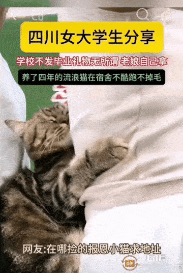 天啦!萌化了，生怕掉下去了，把妈妈的衣服抓的紧紧的。
网友看了说:妈妈酱，能不能