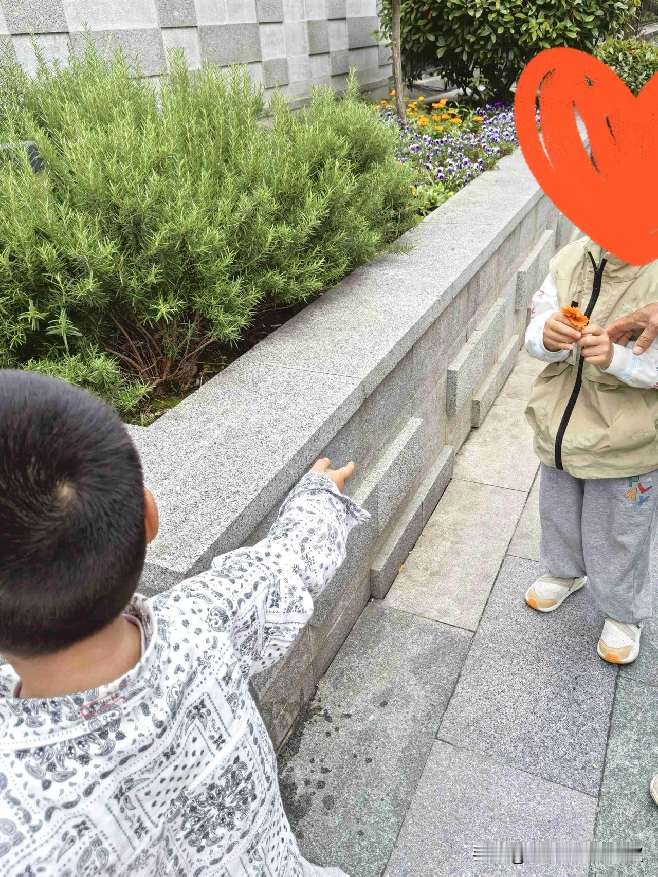今天下午我和队友去幼儿园接了两个孙子，在回家的路上，一个小朋友在花圃里摘花，3岁