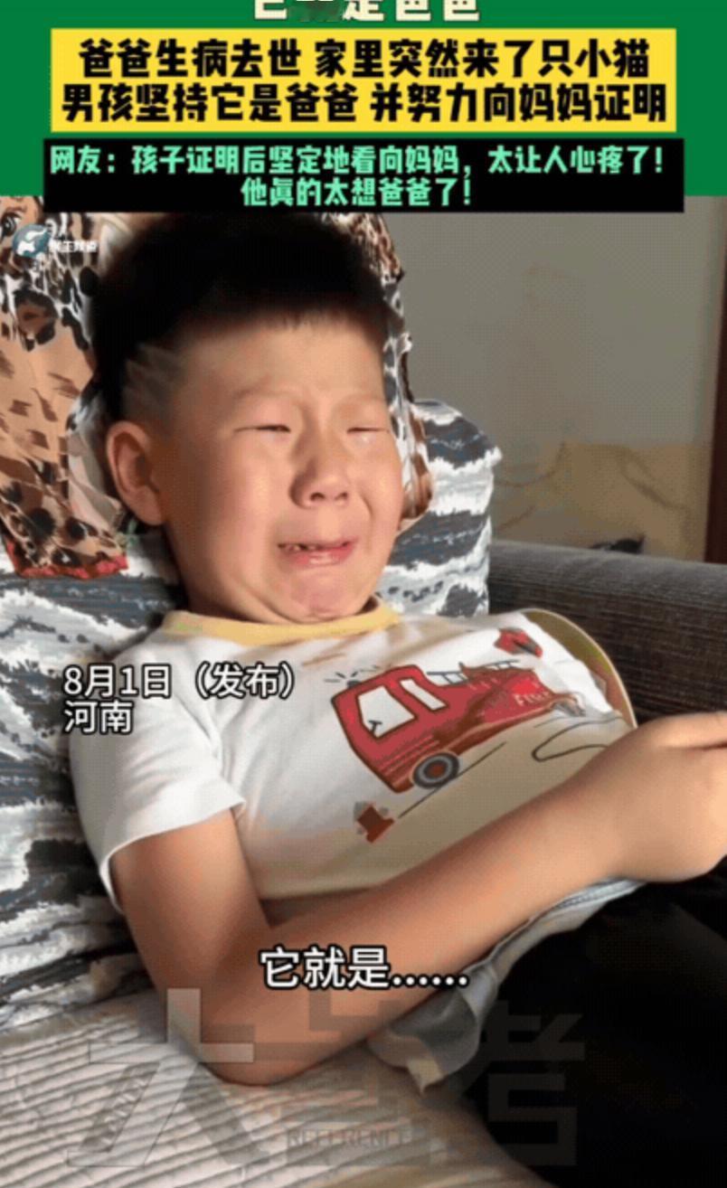 破防了！河南，男孩睡觉梦到了生病去世的爸爸“幻化”成了一只猫，结果第二天家里还真