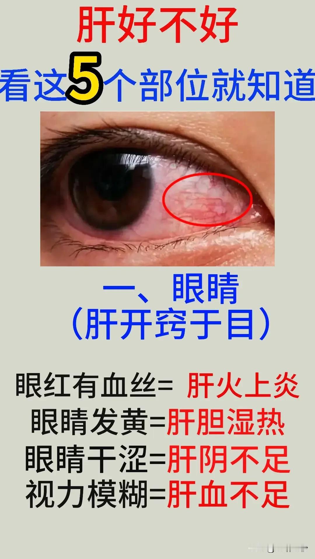 肝好不好，看这5个部位就知道

在中医理论中，肝脏被誉为“将军之官”，主疏泄、藏