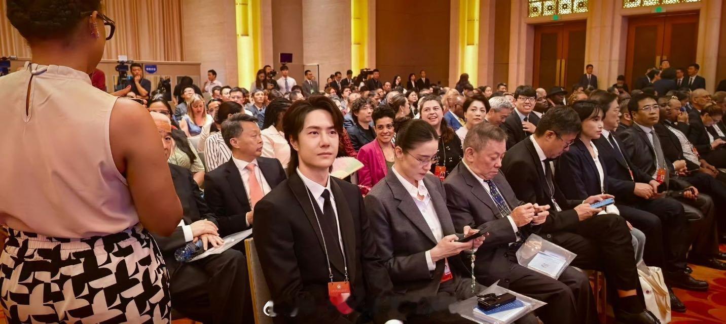 王一博、吴京、张译、宋佳等参加全球文明对话部长级会议[good][good][g