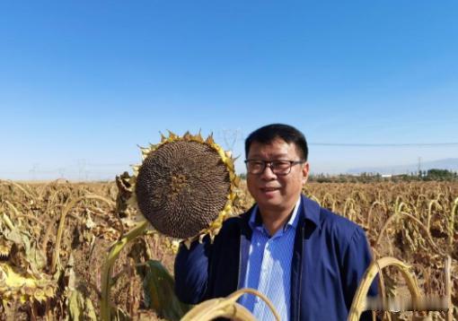 我国工程界大乌龙事件！2009年，重庆大学教授易志坚在研究物质力学时，意外发现了