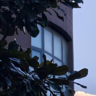 权重 正能量，指的是一种健康乐观、积极向上的动力和情感，是社会生活中积极向上的行