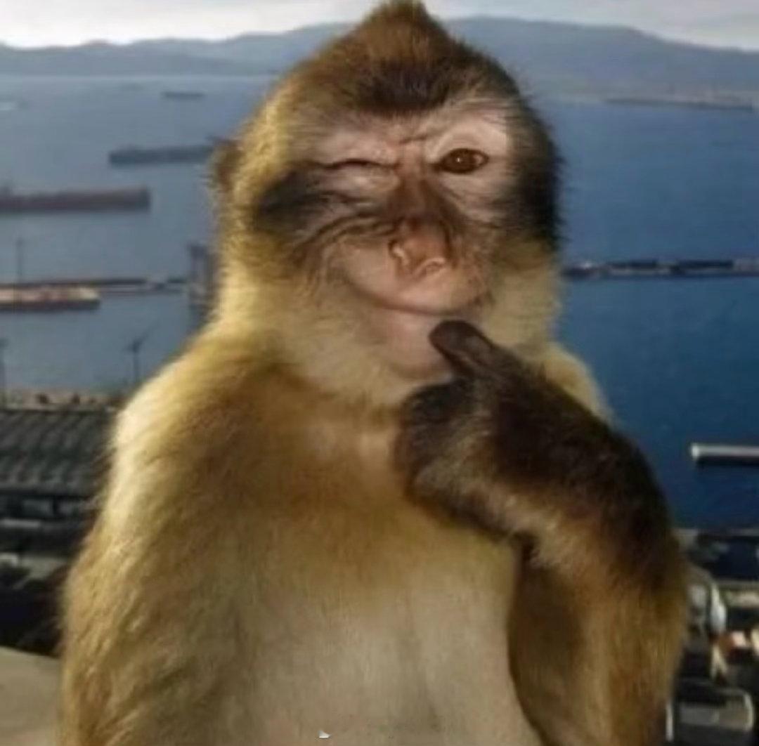 每次游完泳后都要犯猪瘾 大吃特吃才能恢复过来包里的小零食已经完全满足不了我了 