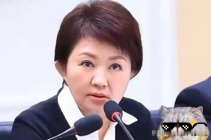 台中市市长卢秀燕被记者问到日本和菲律宾准备擅自把台海以东划成他们的经济区域时，一