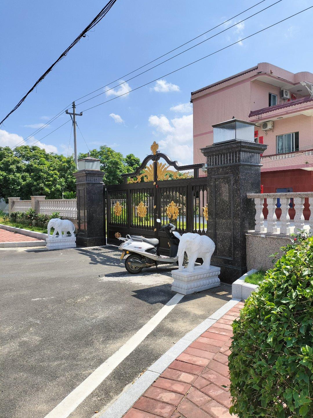 头条打卡领大奖 冬日晒图大赛 冬日实拍拼图 冬日生活卡