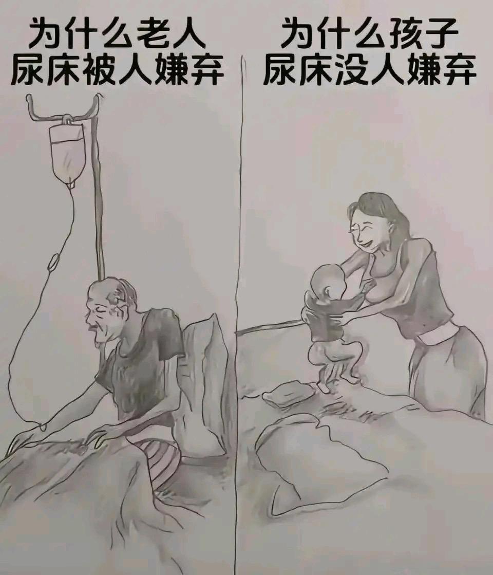 为什么会有这样的区别？？ 