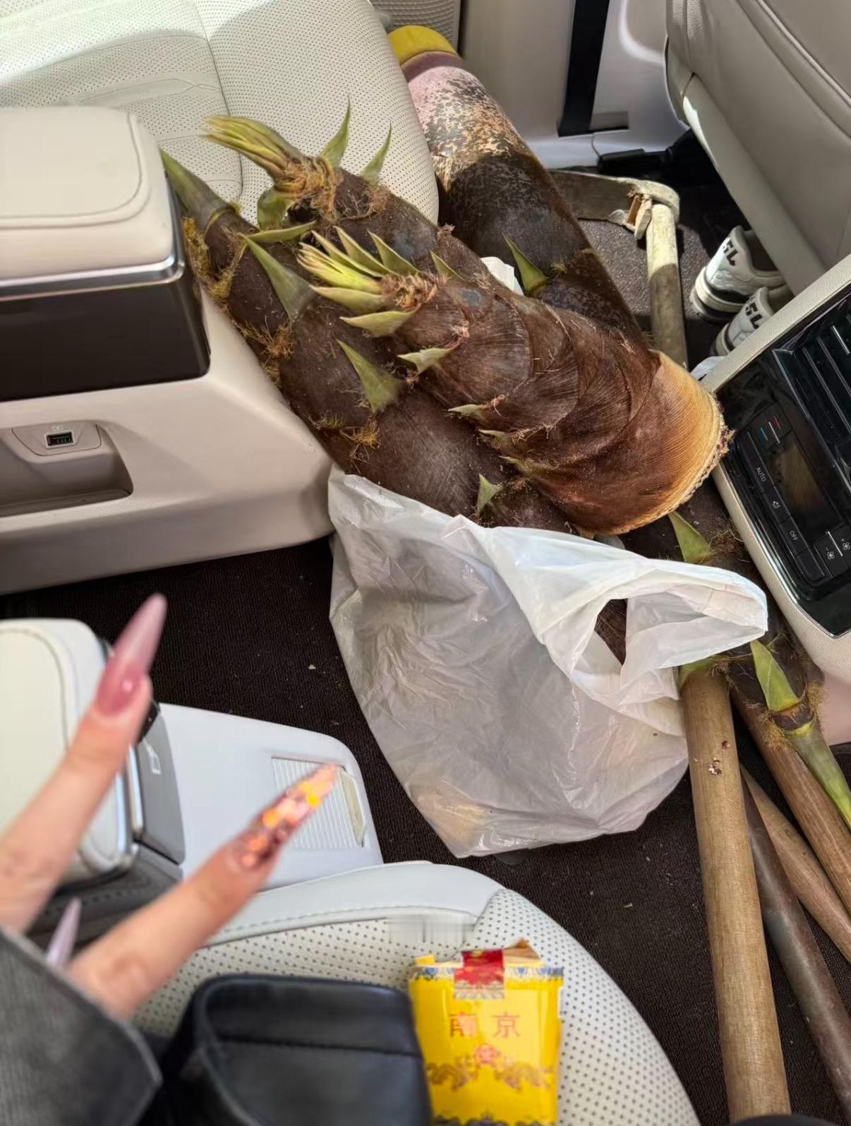 珍惜而寂静便好 