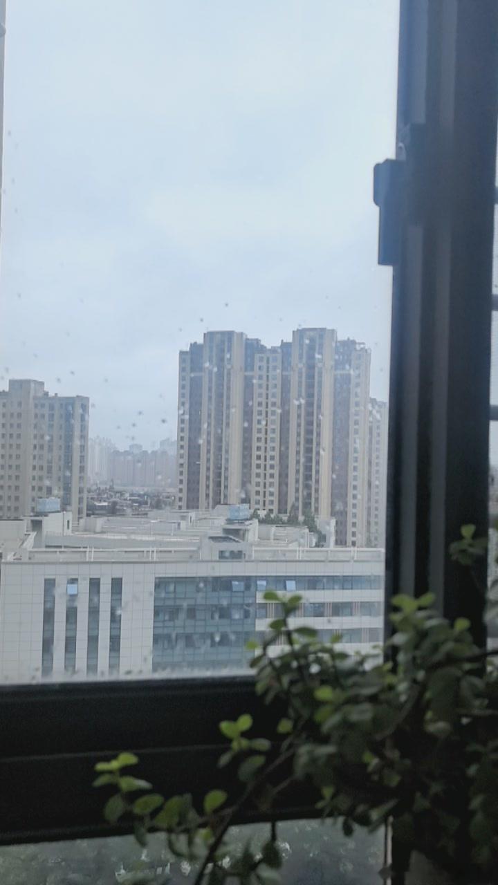 下雨天，觉真好睡，刚醒这是下了多久，好像从昨天到现在一直没停。 