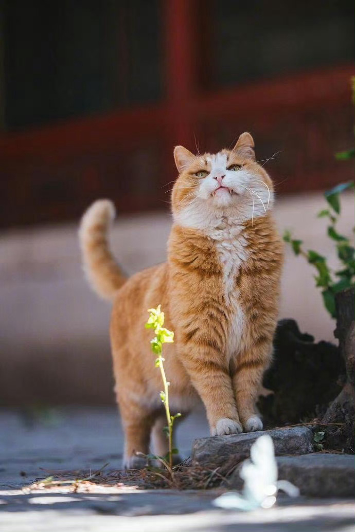 如果看不惯一个人，记住三句话你就赢了。”这三句话分别是：不争，以退为进；不理，沉