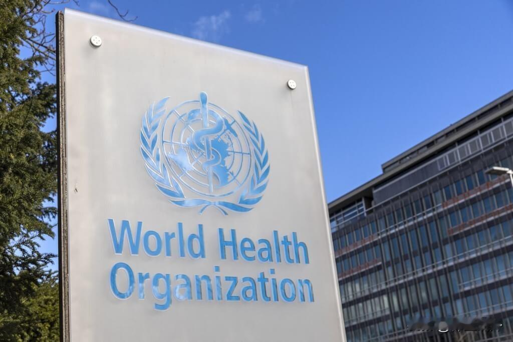 必须中国护照！联合国做得对
世界卫生大会将于5月27日召开，我国台湾地区的记者想