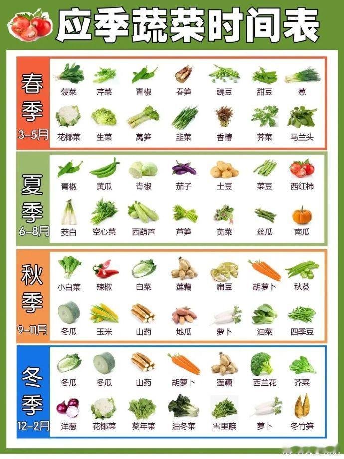 应季蔬菜时间表及作用，蔬菜保鲜攻略 