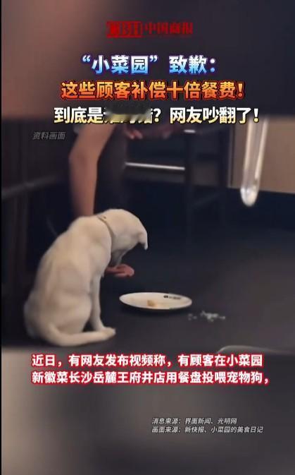 小菜园长沙岳麓王府井门店这事，如果是饭店允许顾客带宠物狗进入的，那饭店因此造成的