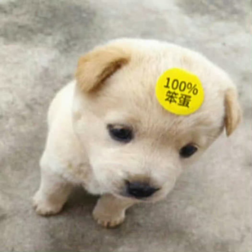 分享图片 