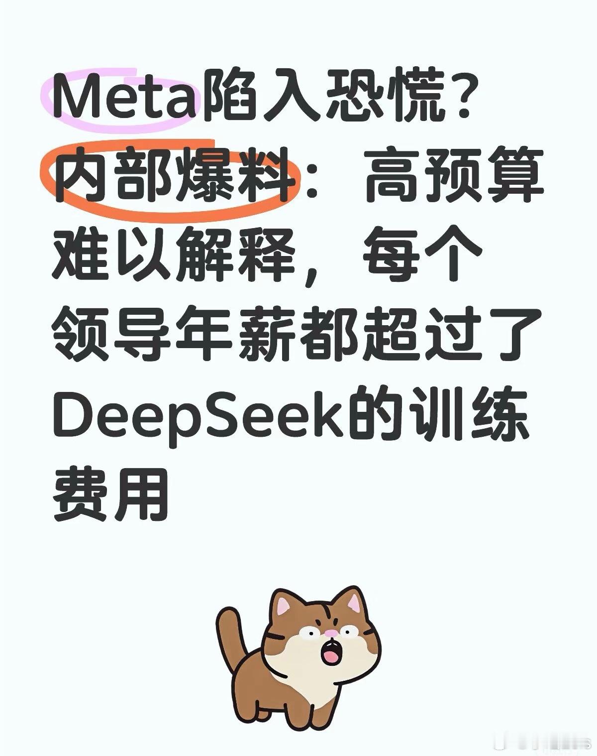 DeepSeek彻底爆发 Meta这下肯定坐不住了。一位新加坡朋友去年就提到他儿