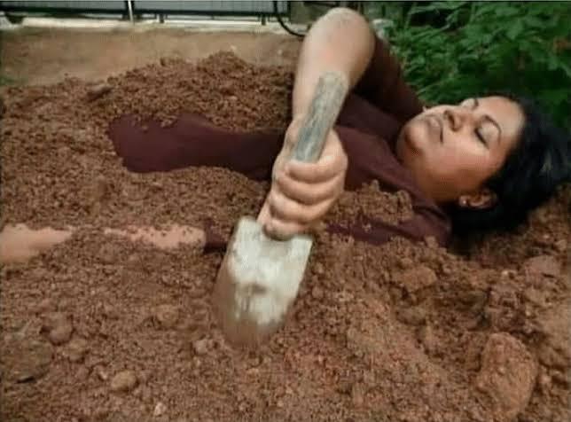 下载视频的捷径失效了，我心碎了[二哈] 