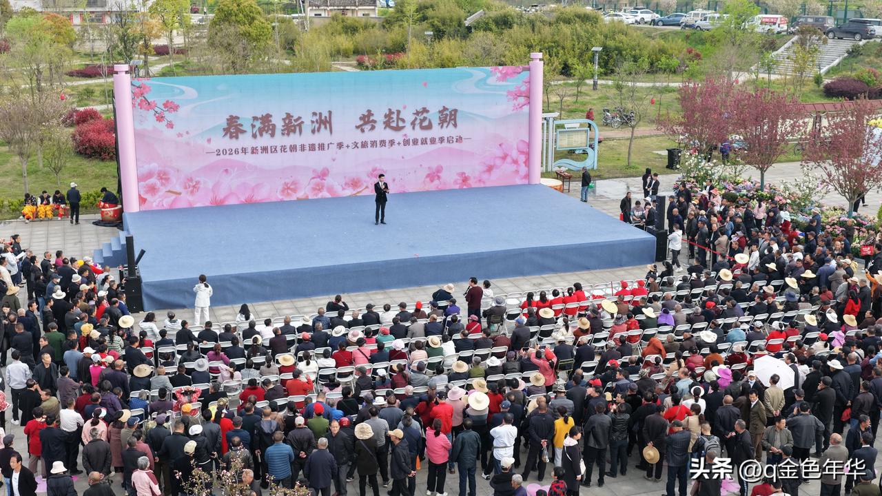 新洲旧街花朝节：汉服风华绘盛景，交流热潮启新篇
新洲旧街花朝节当天，一场承载文化