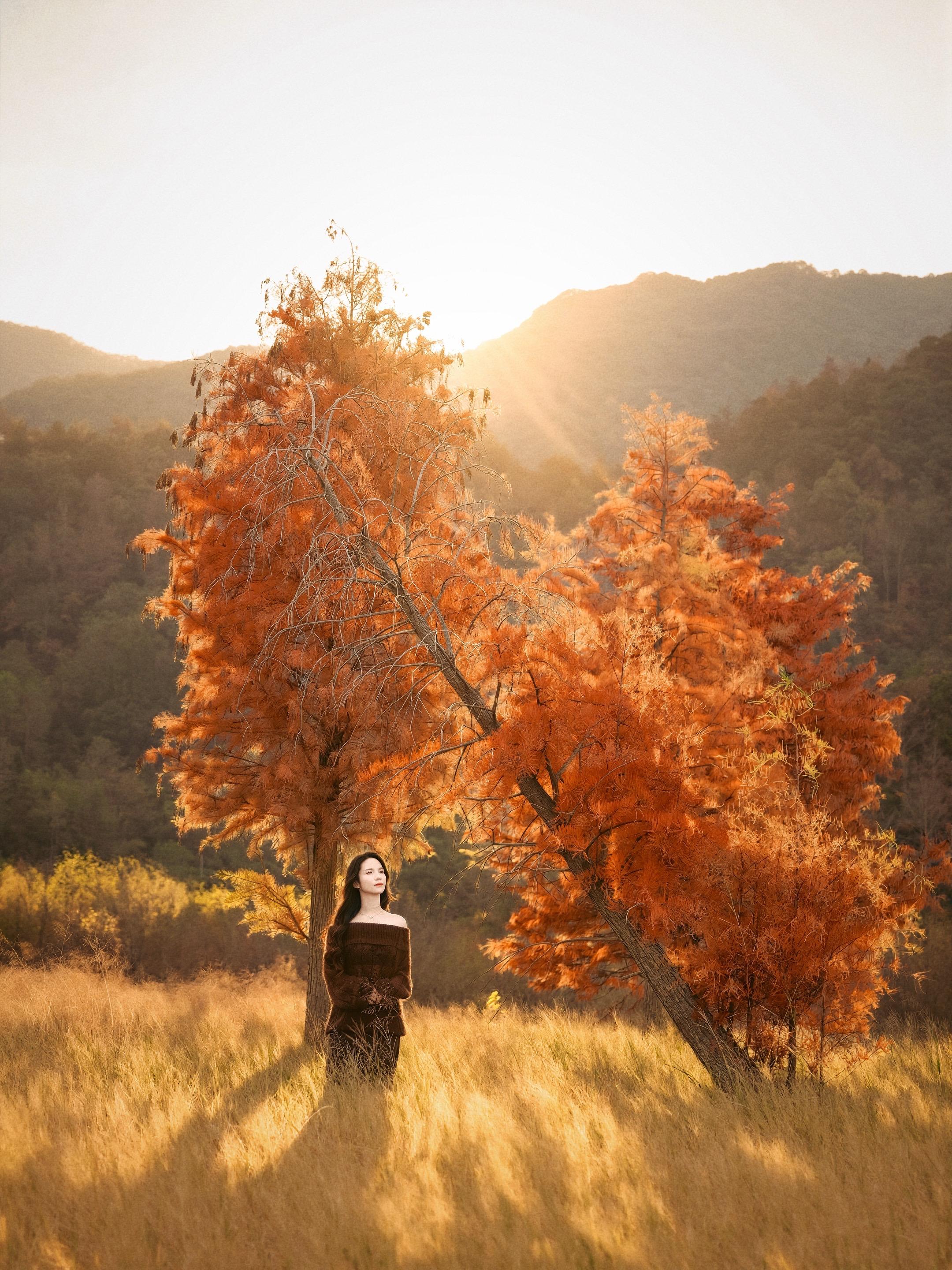 水位退潮！黄岩白鹭湾可踏滩拍红树林啦！今年长潭水库水位大降，白鹭湾红树...