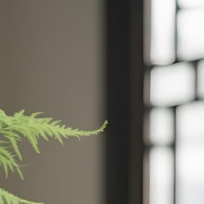 文竹种植方法：1. 光照柔和：文竹喜半阴环境，切忌烈日暴晒。适宜放在有明亮散射光