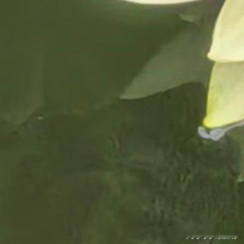 一个人，无论你多么优秀，多么富有才情，但终究要完成人生旅程中所有的使命和责任，终