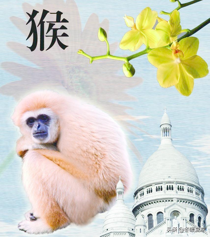 （民俗闲聊，仅供娱乐，不代表绝对命运）
 
转眼2026
68年戊申土猴，大多5
