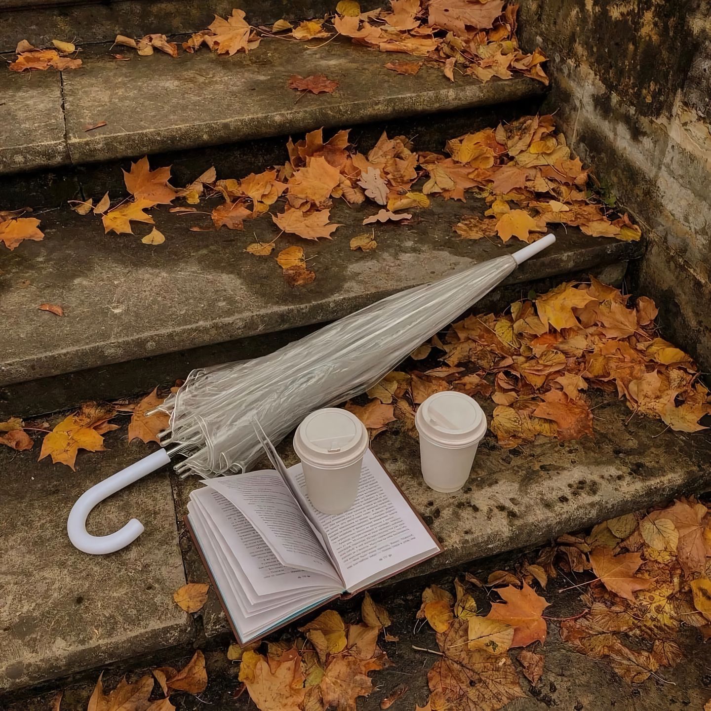 ²⁰²⁶⁄₀₉₋₀₁ 🍁          祝我们，少一些辛苦，多一些幸福， 