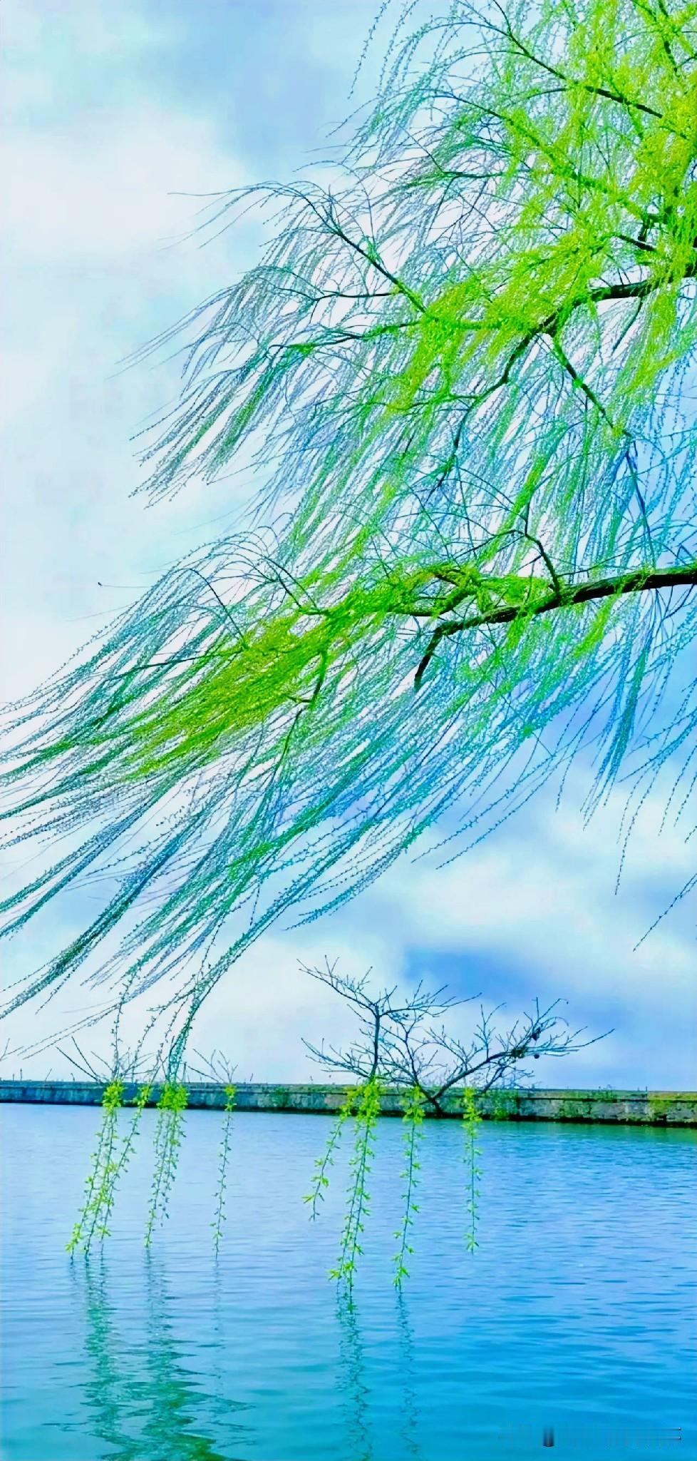 下联：长亭折柳泪盈盈
上联：有请雅士[玫瑰][玫瑰][玫瑰]