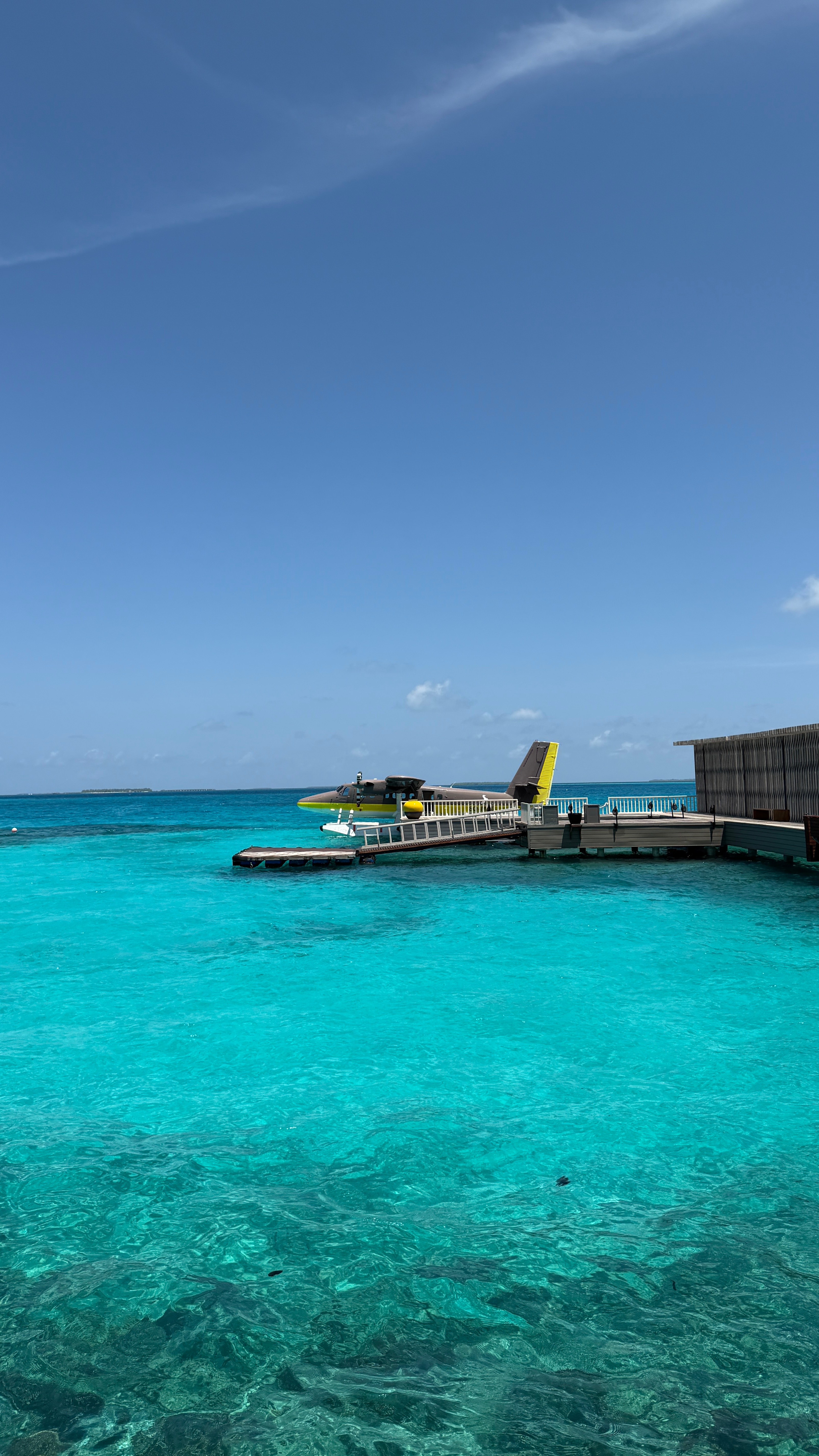 💙 💙日子不要像白开水一样寡淡 要像红酒一样Sevenabby