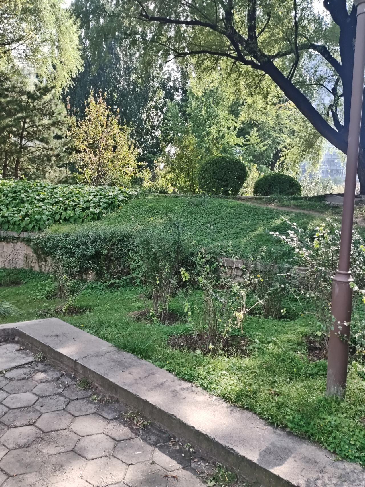 昨天，一个以前从不认识的老大哥要跟我借500元钱，我没怎么犹豫就借给了他
事情是