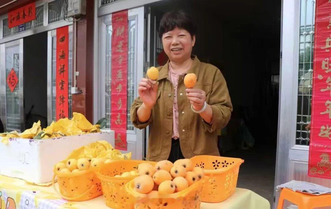 台州这场枇杷盛宴里藏着共富密码5月15日，2026年路桥区枇杷嘉年华在桐屿街道小