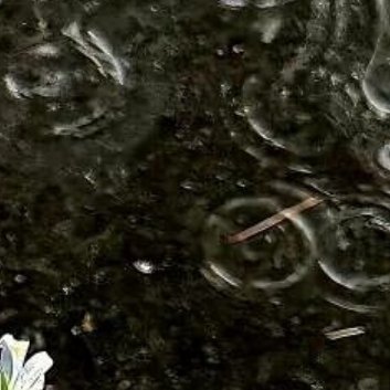 每日一善‎每日一善 ‎阳光‎信用 你今天的努力，是幸运的伏笔，当下的付出，是明日