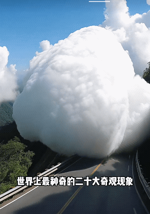 都是难得一见的画面！[大笑]