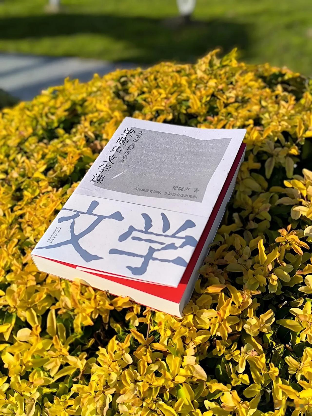 电视剧《人世间》的爆火后，也让无数了记住了作家梁晓声。

这本由小说《人世间》改