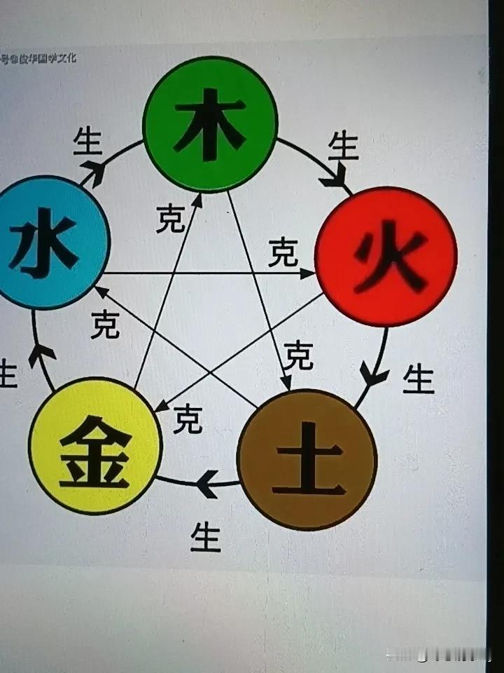 肝为什么属木不属土? 中医五行理论里，肝属木而非土。古人通过生活实践，对木火土金