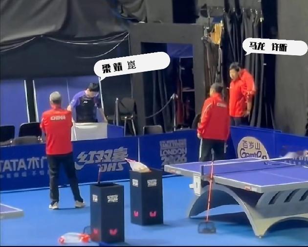 伦敦团体世乒赛，男团半决赛国乒男队力克法国男队晋级决赛！梁靖崑绝境让二追三为王楚