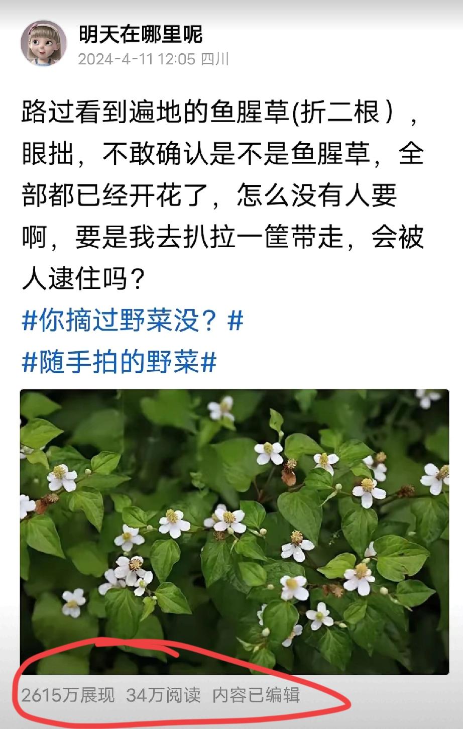 就这个普通内容
平台给2000多万的展现
这是咋回事？[灵光一闪][灵光一闪]