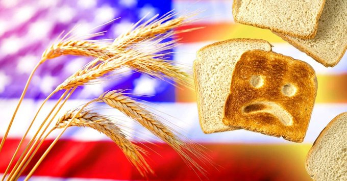 基改+草甘膦，厉害了。 