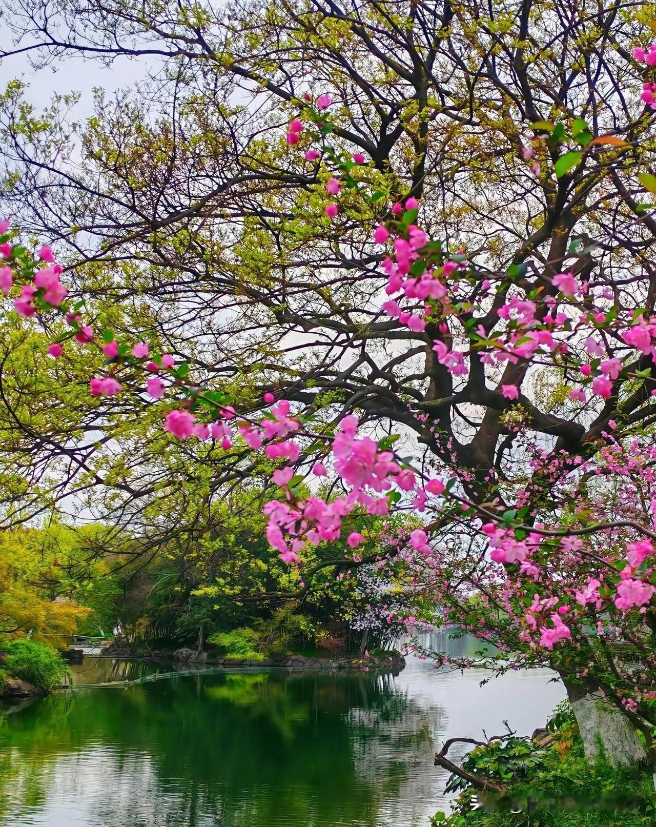 你有没有这种感觉，突然对某首歌特别有感觉，就比如这首《凡人歌》。以前青春正年少，