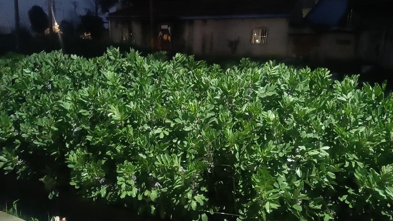 提到职场，很多人会联想到长袖善舞的社交达人，但内向的人同样能在职业舞台上找到属于