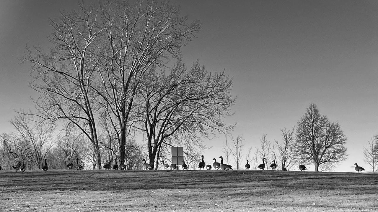 感觉教养这个东西在一个人的小时候就应该被培养啦。其实一个家庭对一个人的影响很重要