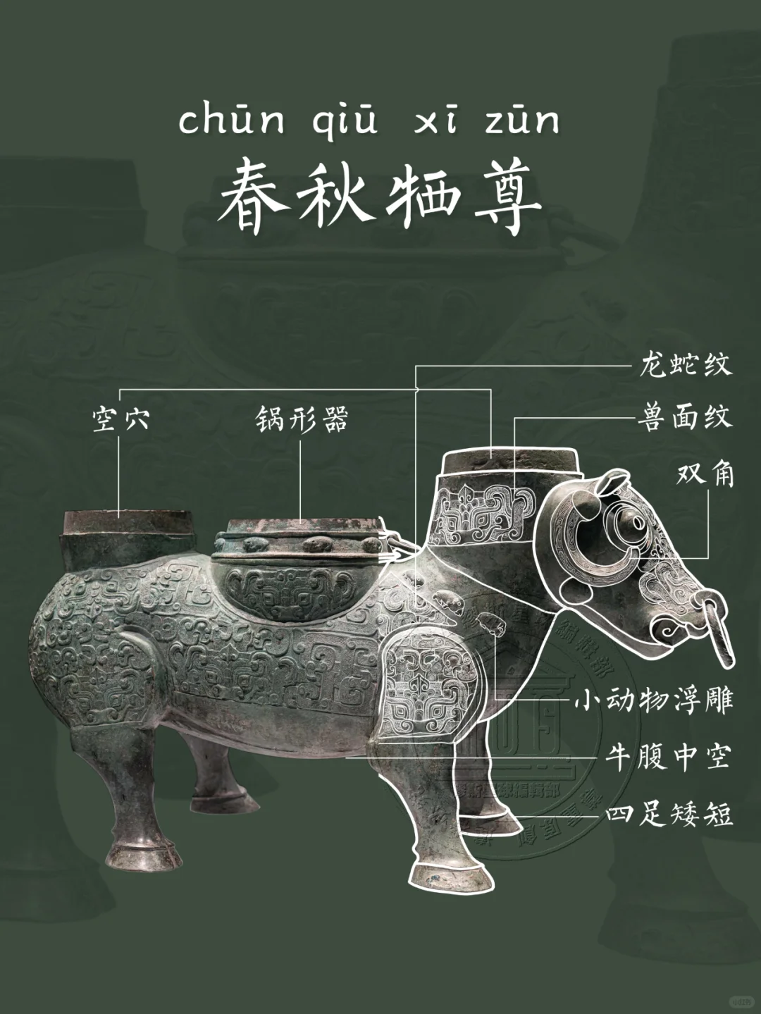 【牺尊】大伙来看看咱老牛的花衣裳吧