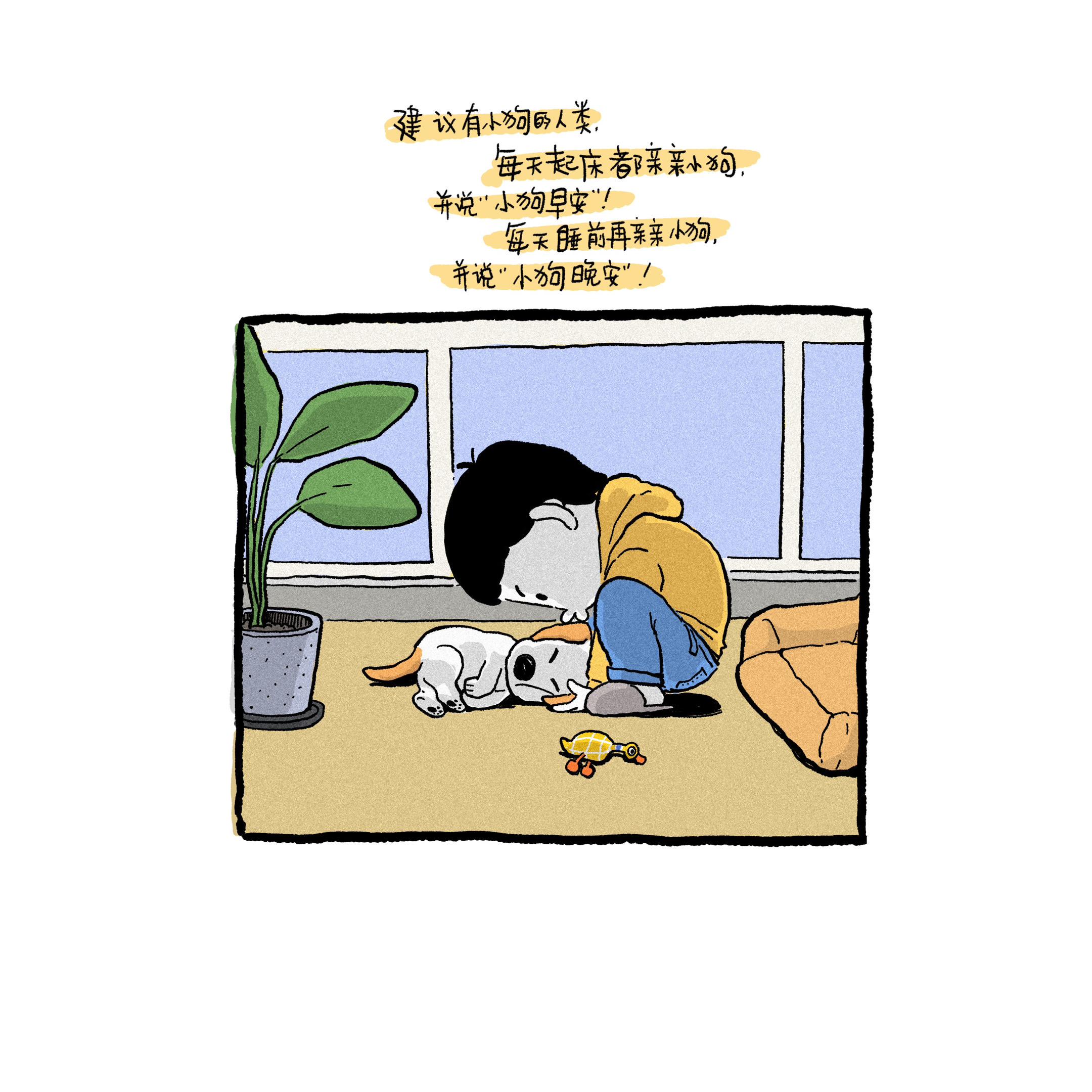 小狗的建议。准没错