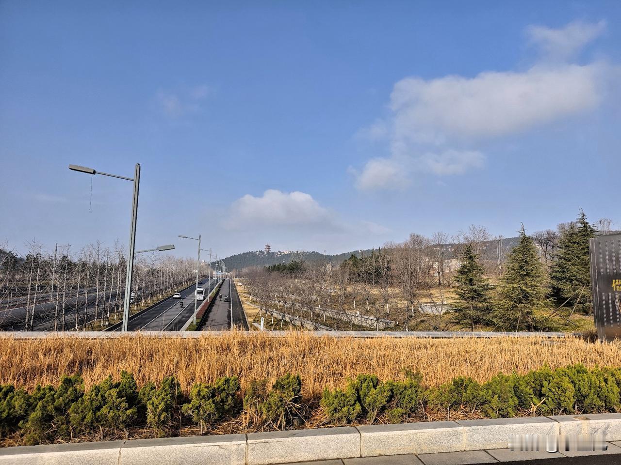 咱就说，谁不爱自己家乡啊！不用啥网红滤镜，随手一拍都是风景。

春天有花，夏天有