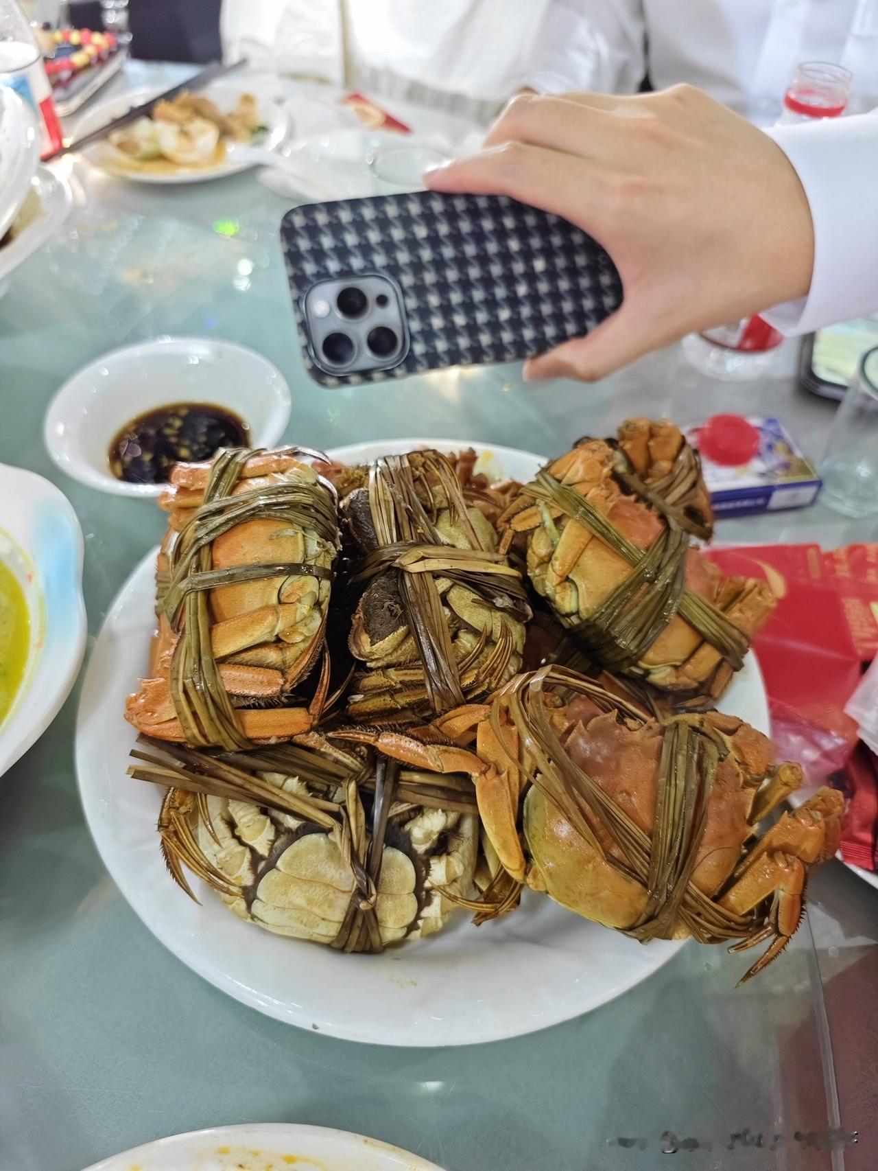 室友家是兴化养蟹的，还没到螃蟹最好的月份就凑出这么多大家伙，婚宴上连吃带拿😘?