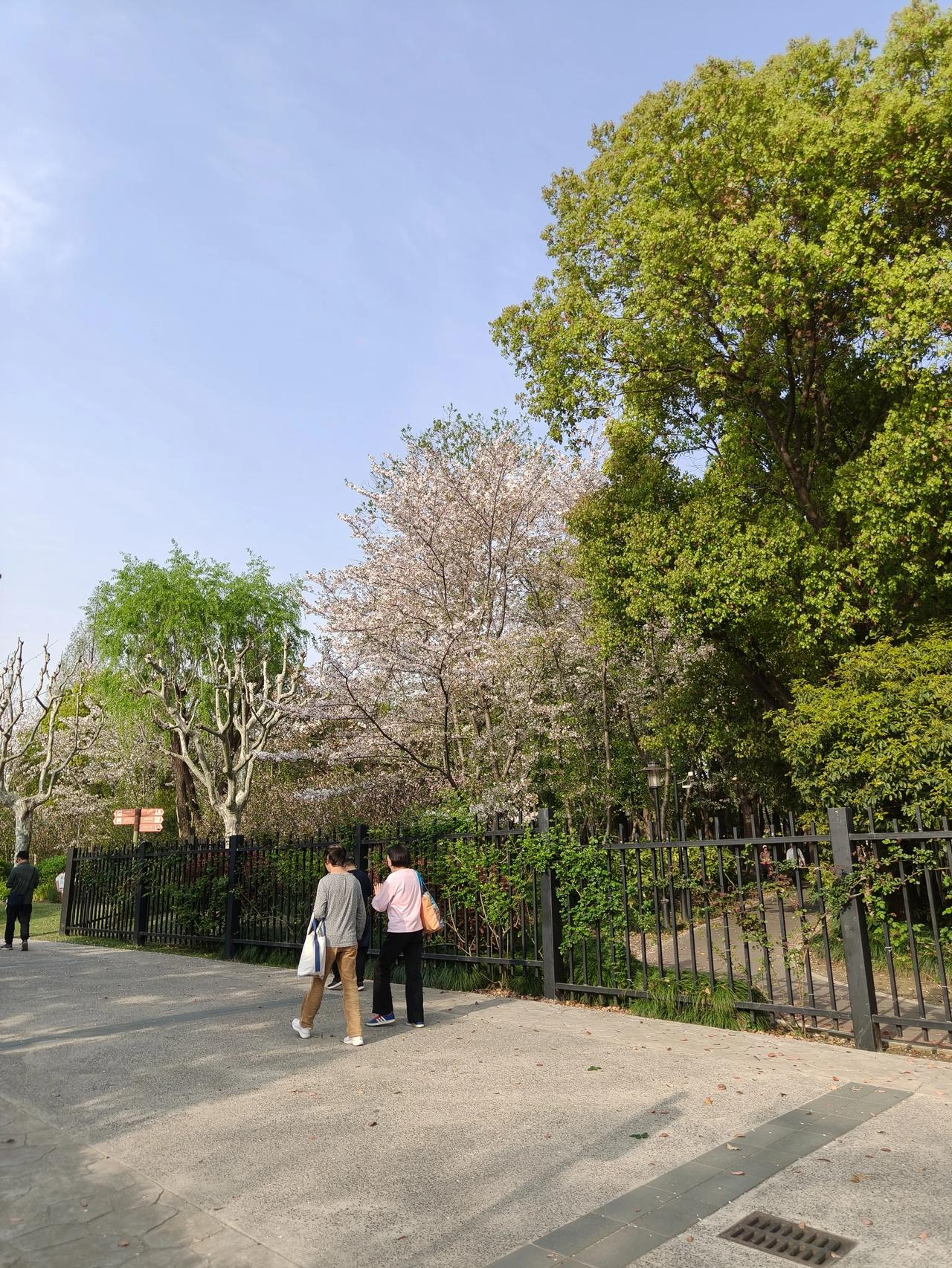 春是从窗棂的缝隙里钻进来的，带着新翻泥土的腥气和檐下青苔的湿意，氤氲世间春色。