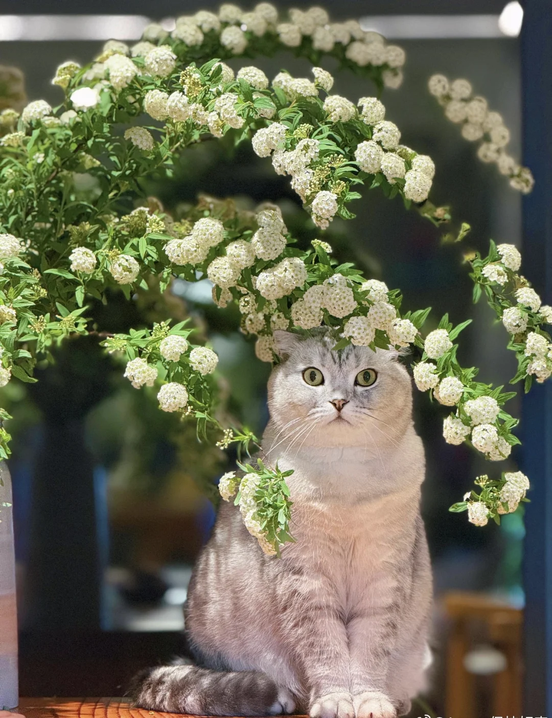 在社恐体验中，最难受的地方是什么？就是当一个人作出某种反应，说了某句话...