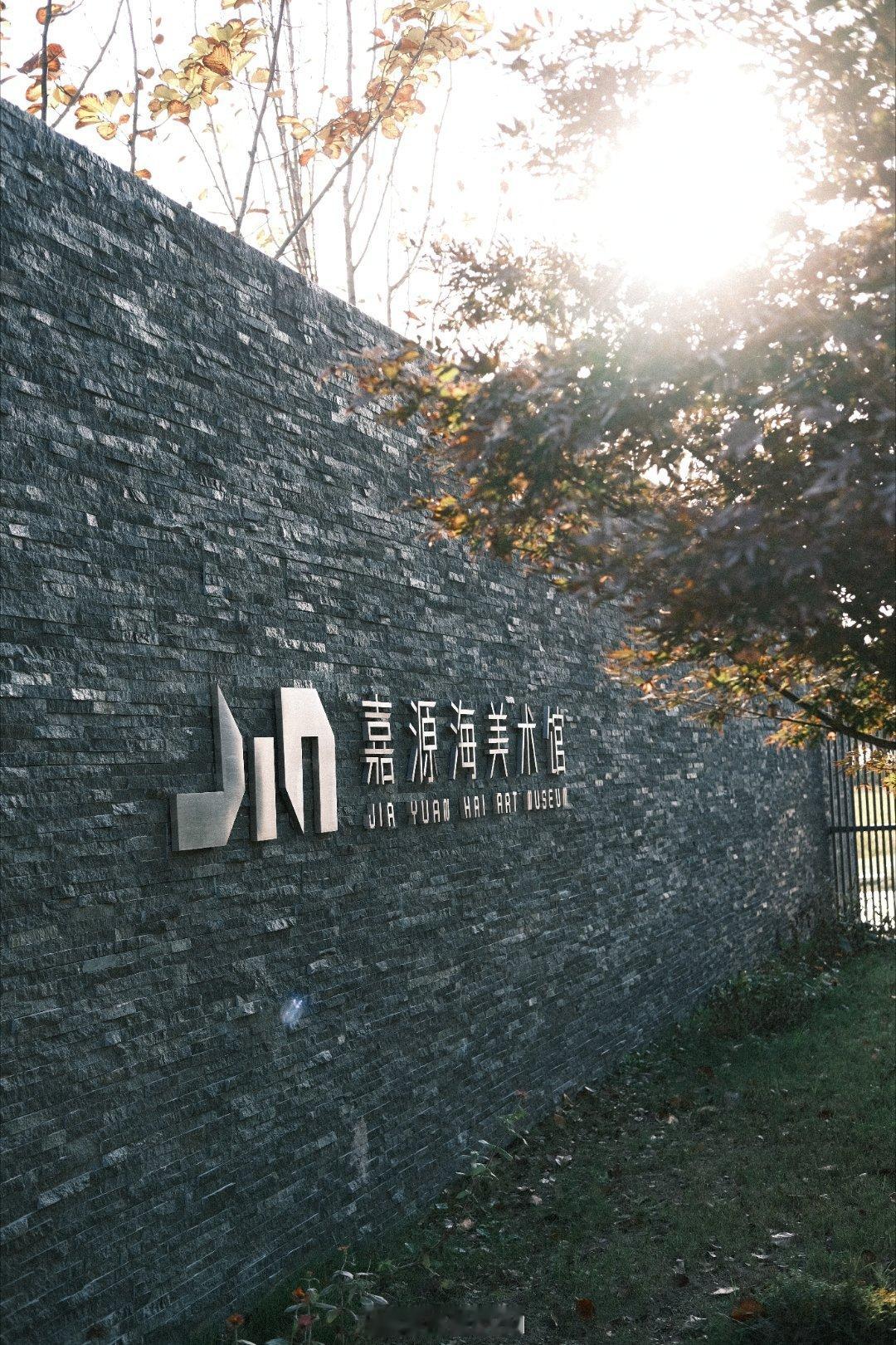 今天去美术馆了，上海郊区，还能看到麦浪。下周要降温了，难得的惬意好时光。